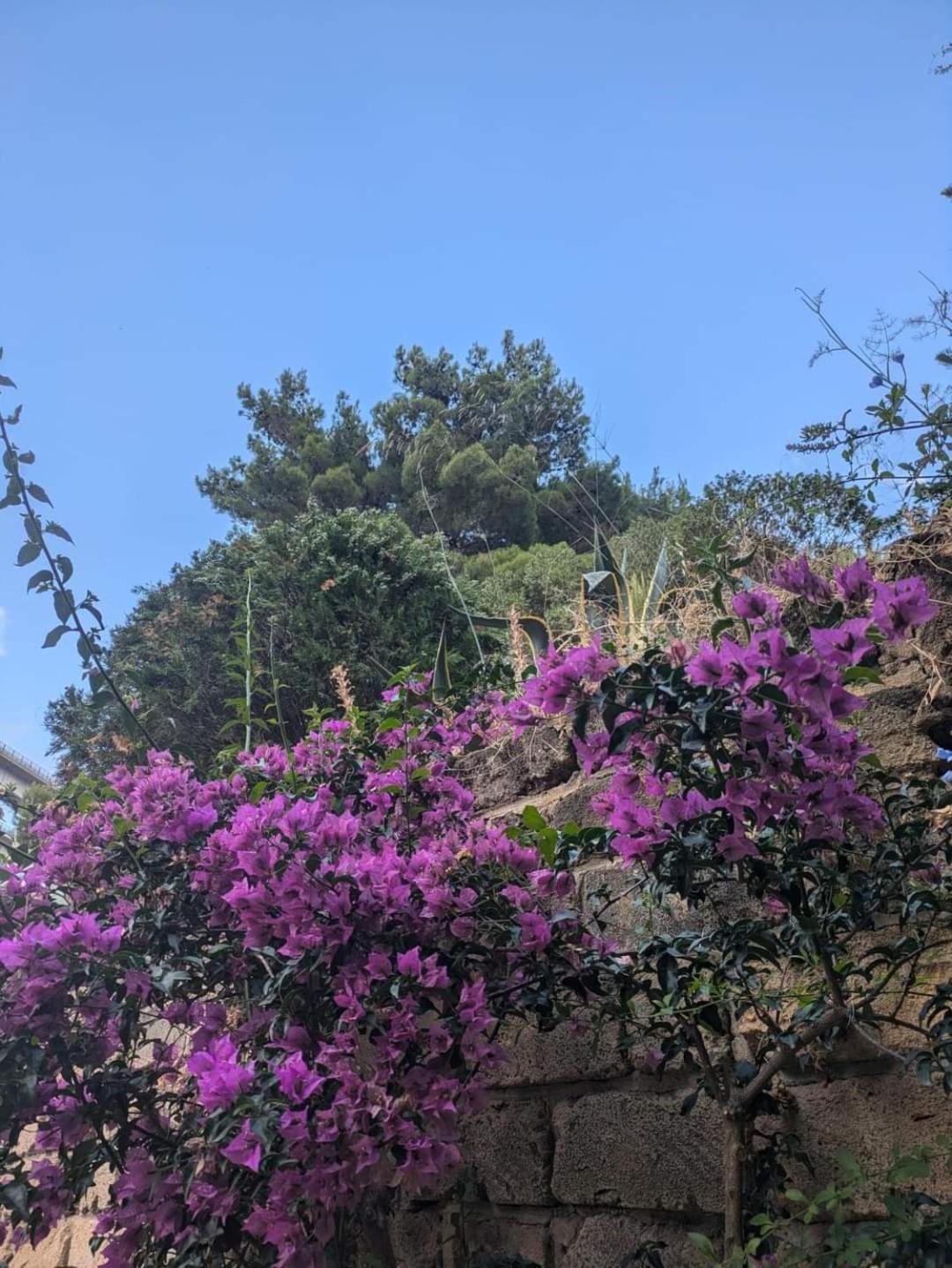 شقة Terra Mia تْشيفالو المظهر الخارجي الصورة